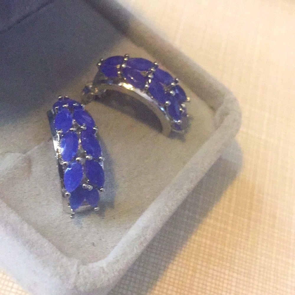 Elegant Sapphire Earrings S925